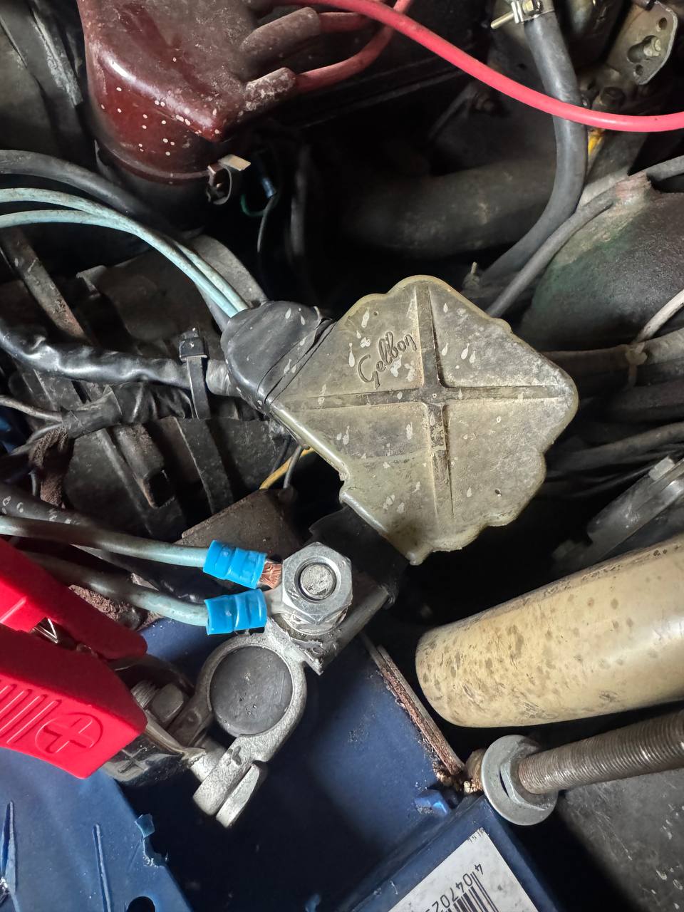 2025-03-12 10.12.07.jpg