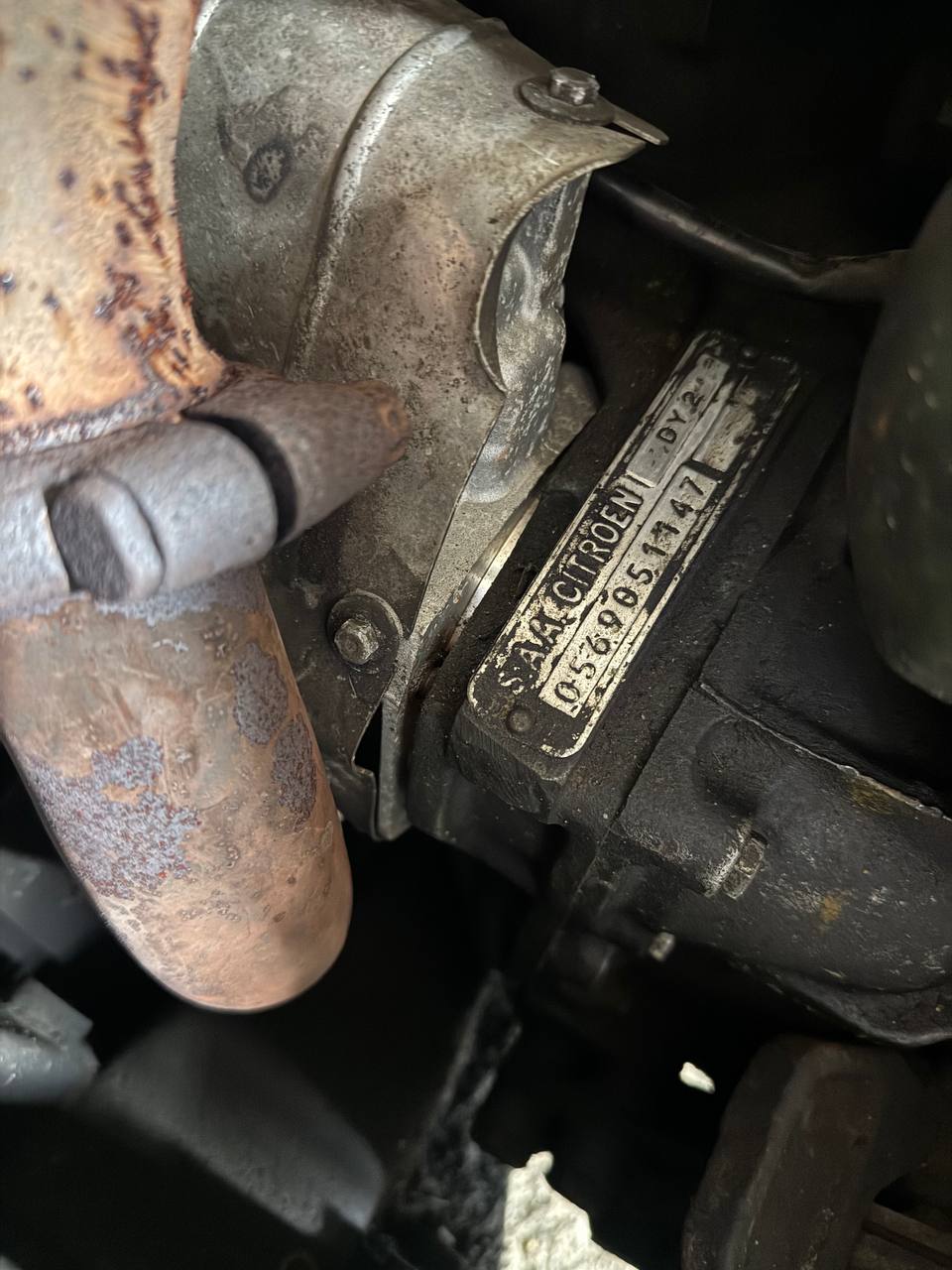 2025-03-12 12.56.39.jpg