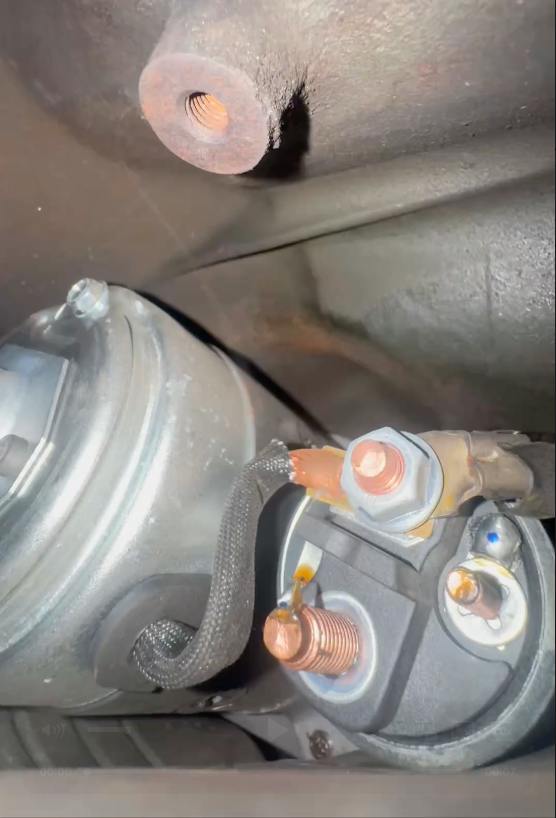 2025-03-17 10.33.25.jpg