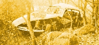 vignette1.jpg