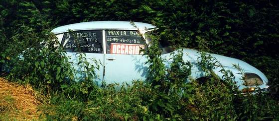 A vendre !.jpg