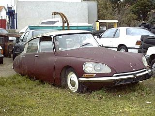 idviolet2.JPG