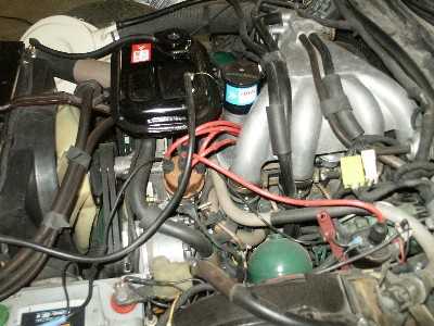 PICT0046.JPG
