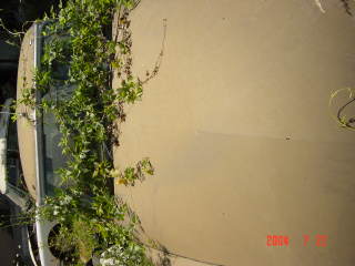 Dsc01908.jpg