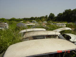 Dsc01920.jpg