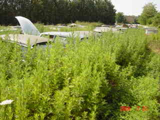 Dsc01924.jpg