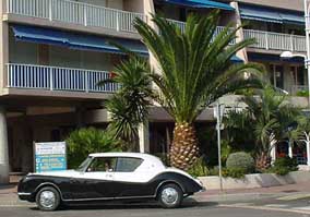 DS-eleonore1.jpg