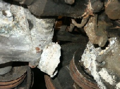 PICT0004.JPG