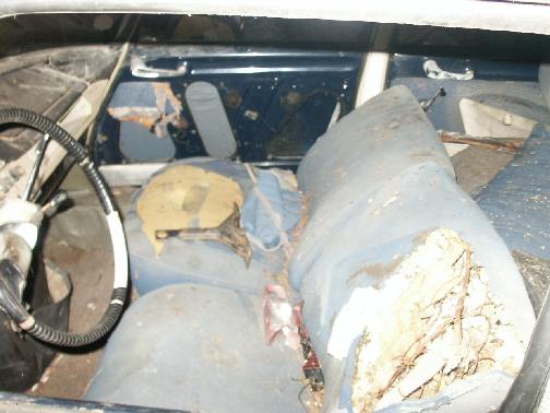 PICT0005.JPG