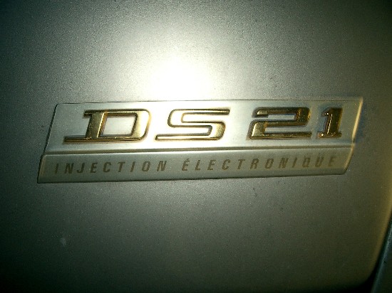 DS logo.jpg