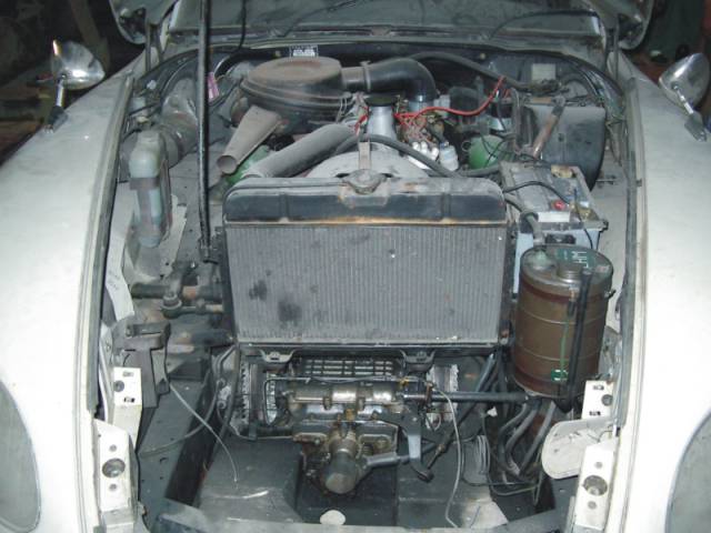 snorcky_1121553558_1242.jpg