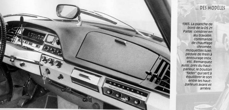 dspallas65ter.JPG