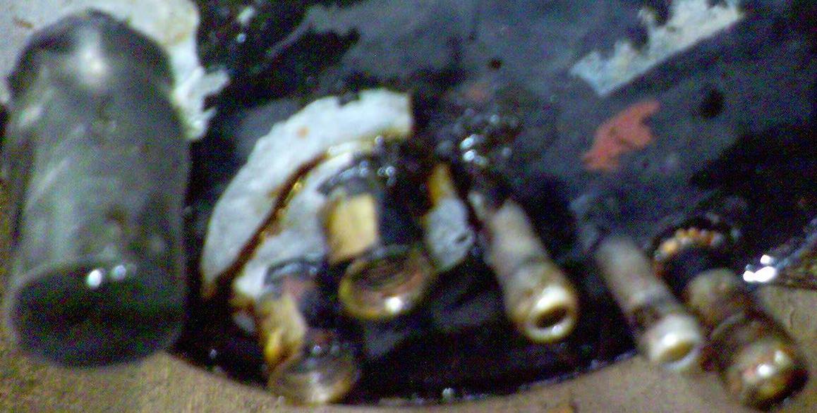 DSC00083.JPG