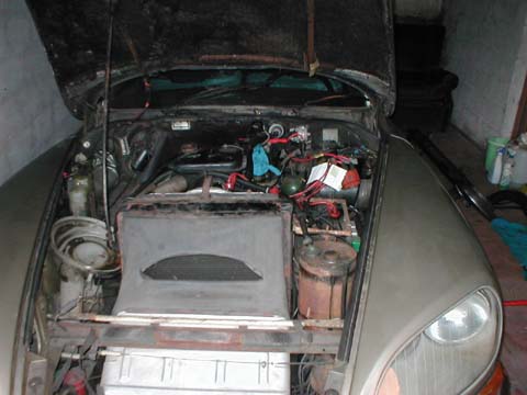 P1010006a.jpg