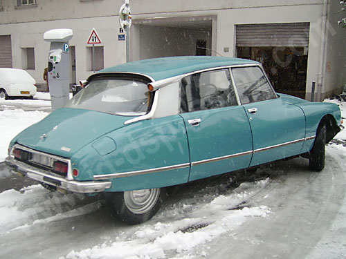 DSF090_05.jpg
