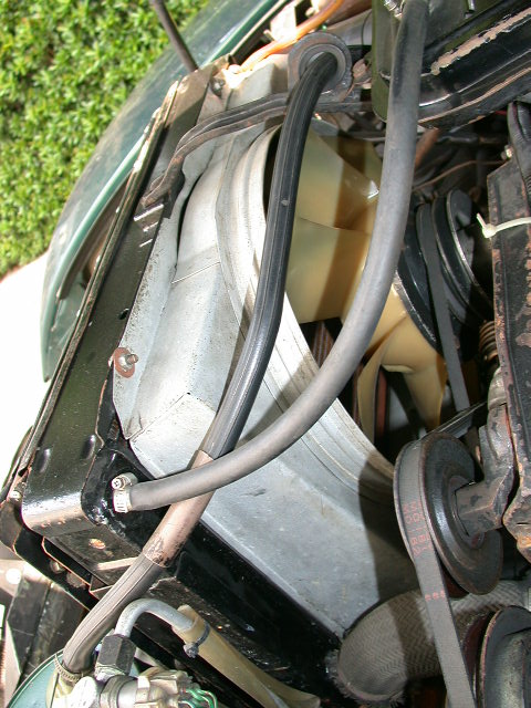 Picture 024.jpg