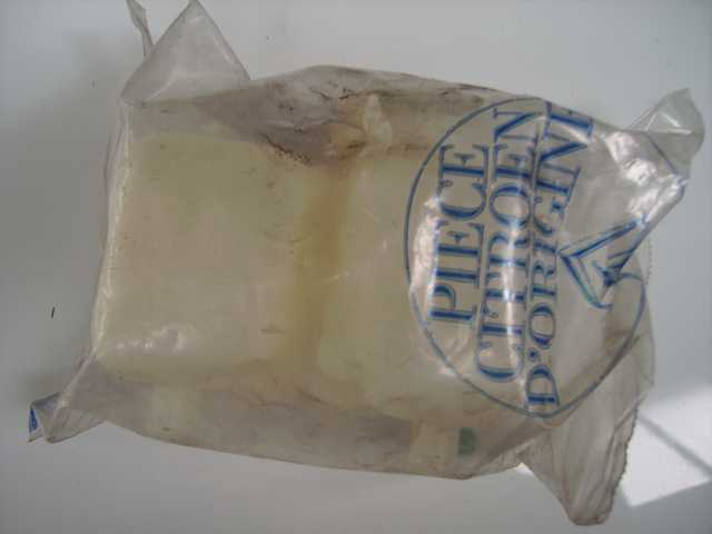 IMGP0456.JPG