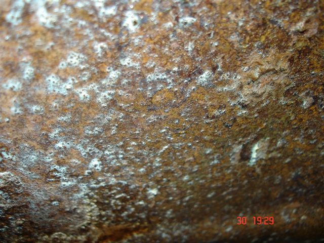 DSC01796.JPG