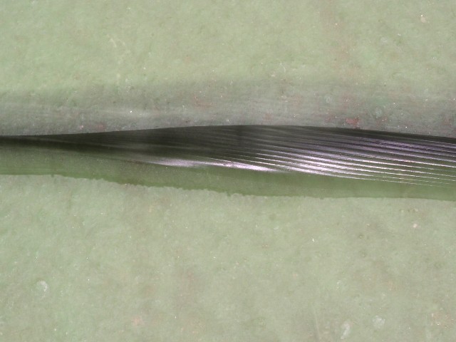 joint Pallas.JPG