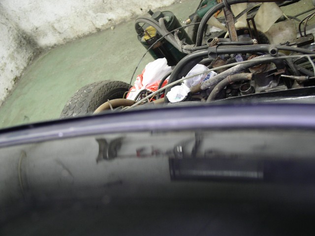 P1010059.JPG