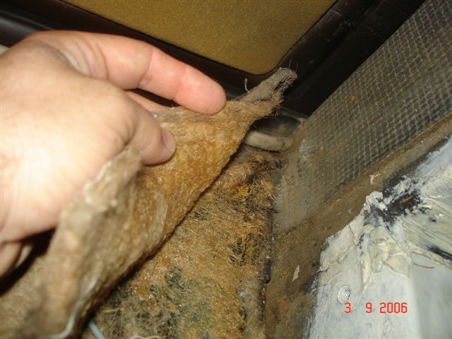 DSC02005.JPG