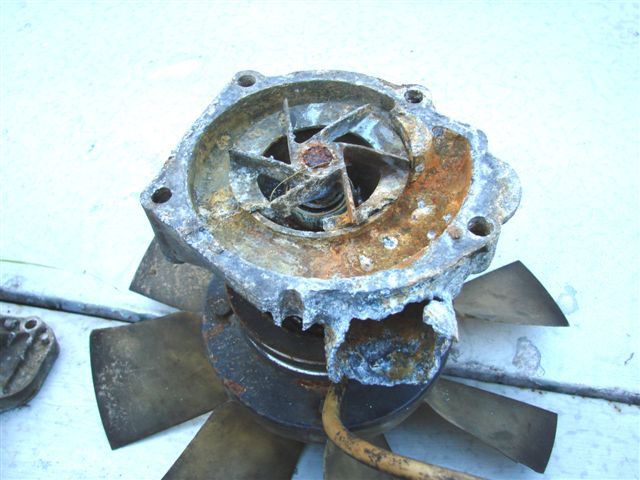 DSC00131a.JPG