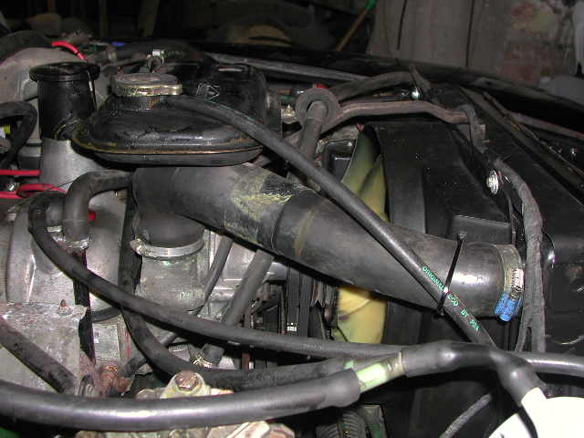 DSCN8720.JPG