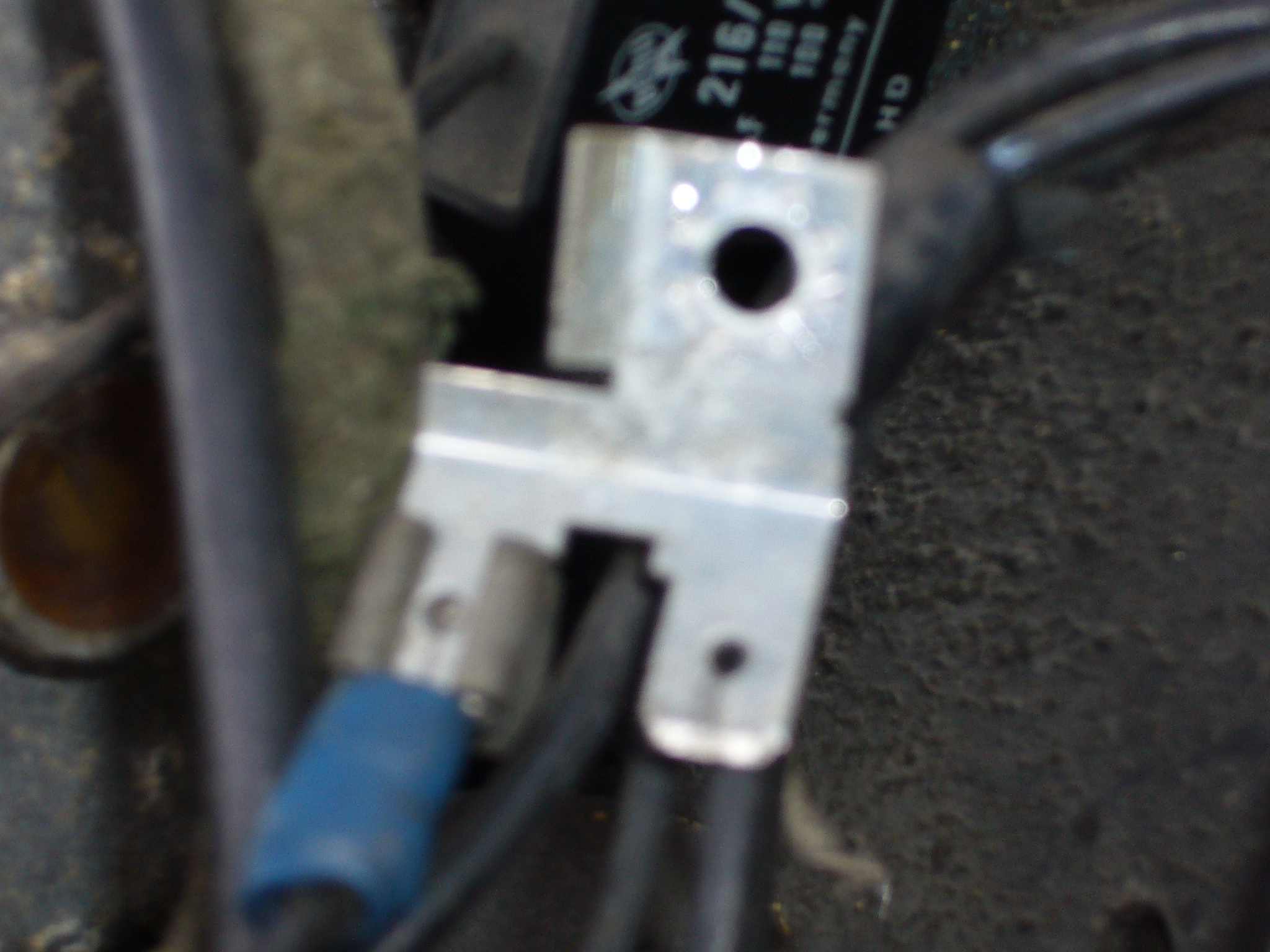 P1010138BIS.JPG