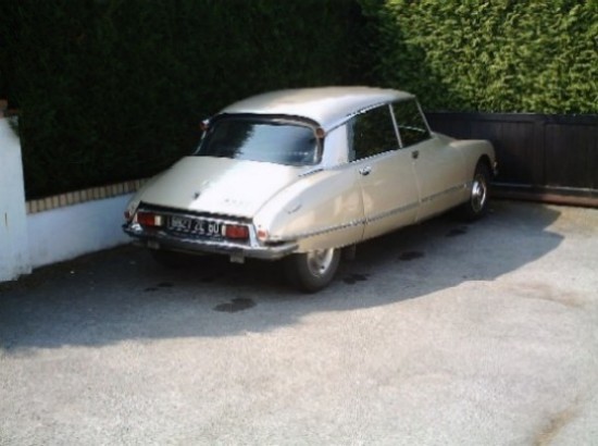 ds23 ie 011.jpg