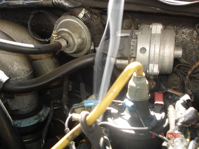 DSC01993.JPG