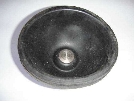 2009-04-01 Menbrane pour sphere 02.JPG