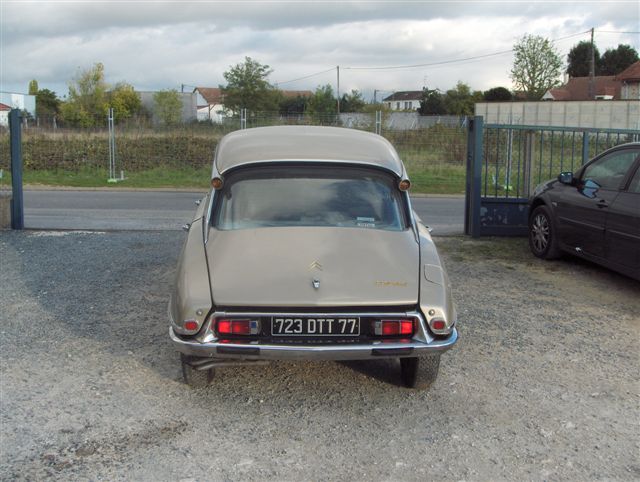 DS20pallas027.jpg