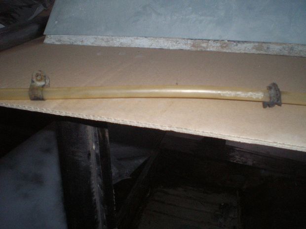 PA190069.JPG