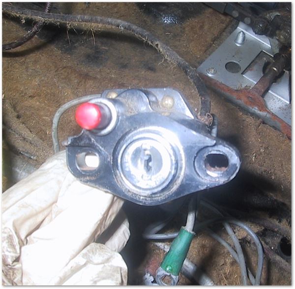 2024-03-11 22_07_44-IMG_7041.JPG - Photos.jpg