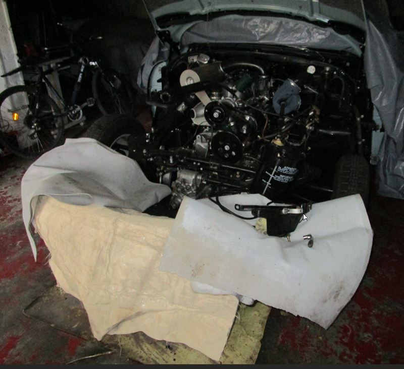 2024-03-28 11_53_09-IMG_0994.JPG - Photos.jpg