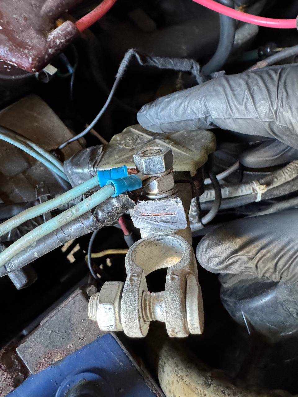 2025-03-22 12.02.01.jpg