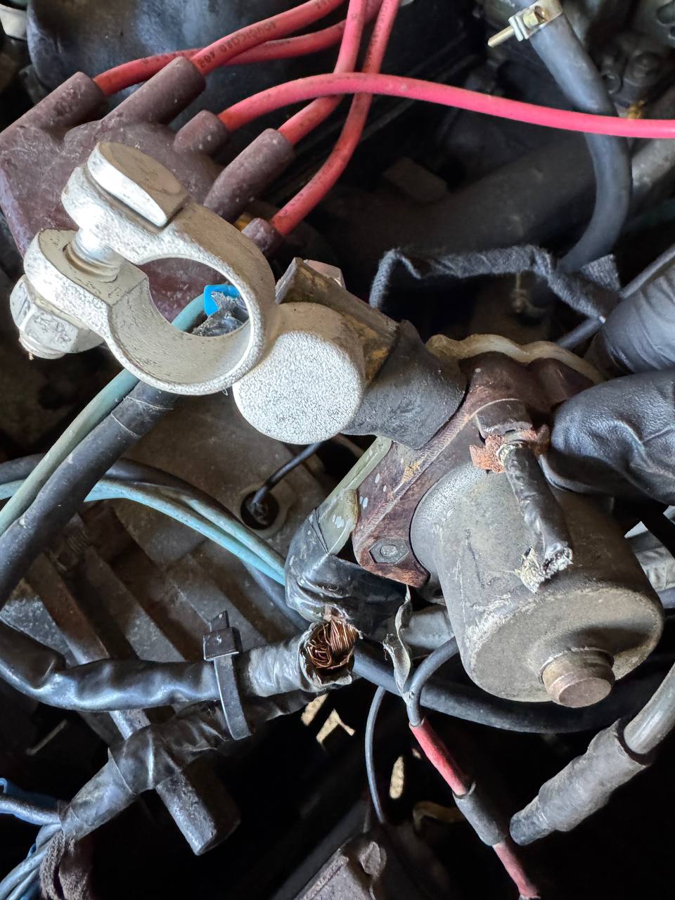 2025-03-22 12.02.05.jpg