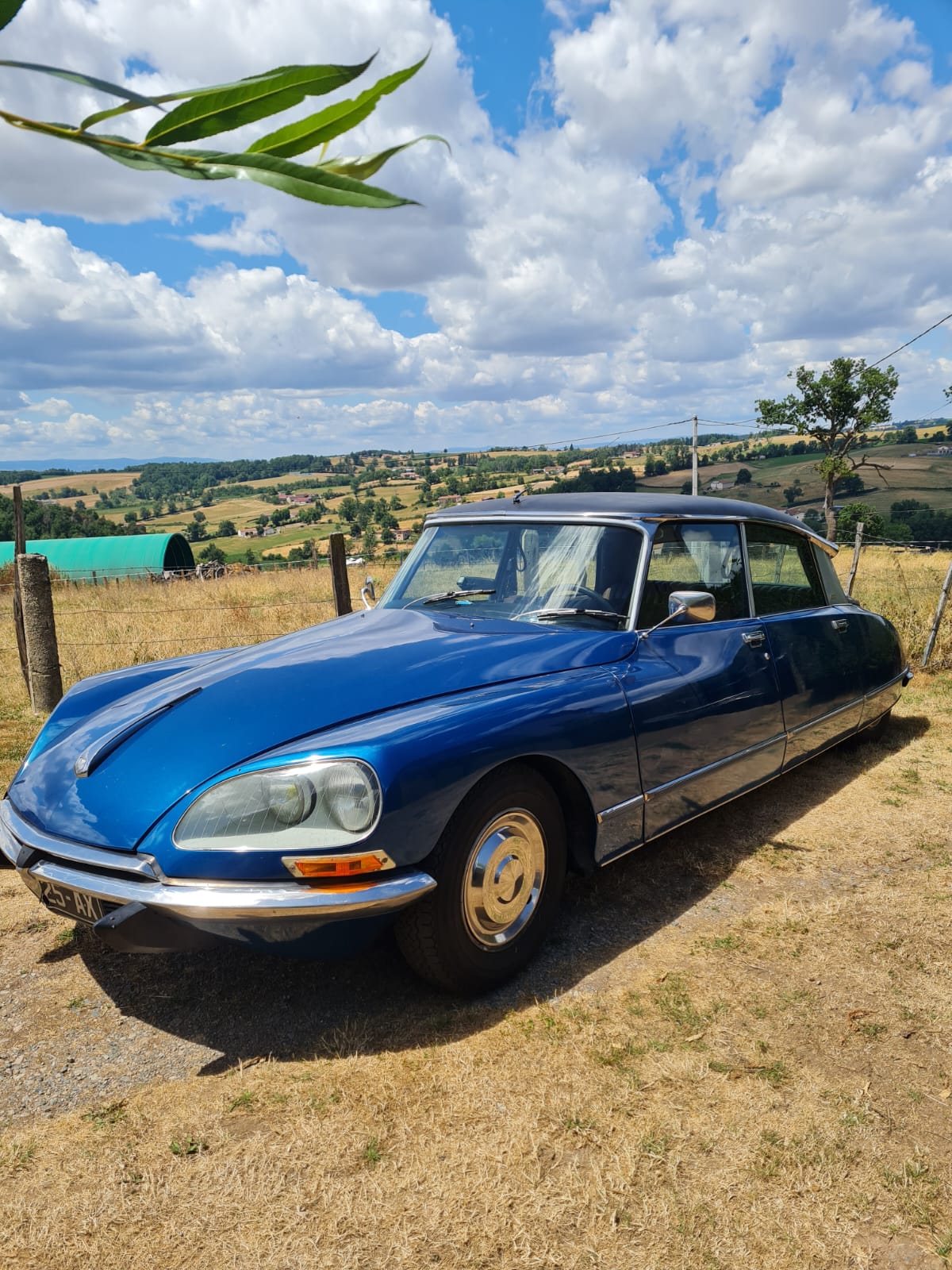 WhatsApp Image 2025-07-08 à 18.50.38_c269d4c4.jpg