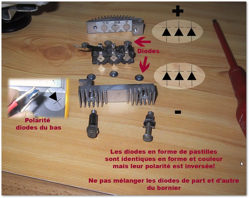 2025-08-11 22_03_53-IMG_2873.JPG