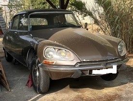 IMG_4906.jpeg