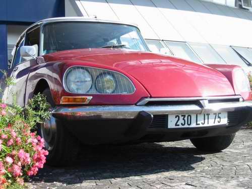 ds massena peut etre.jpg